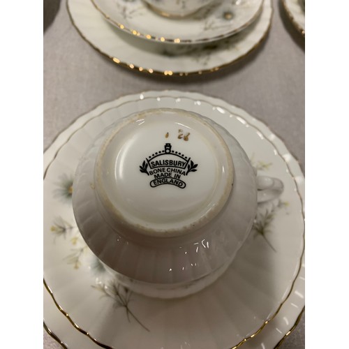 29 - 21 piece Salisbury tea set in daisy pattern.