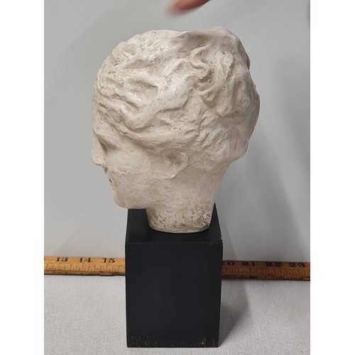 225 - Aphrodite bust by Austin, signed to the neck. Damaged.
29cm tall.