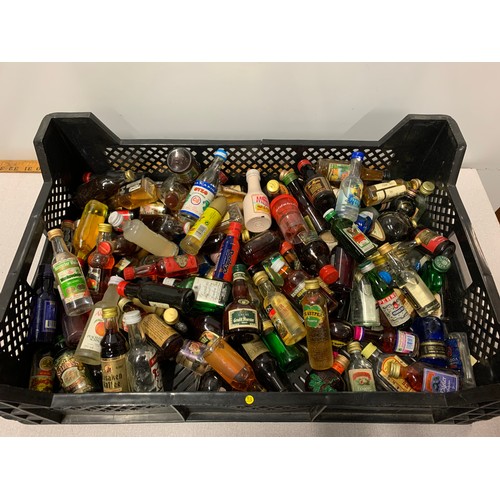 116 - Large collection of alcoholic  drink miniatures.