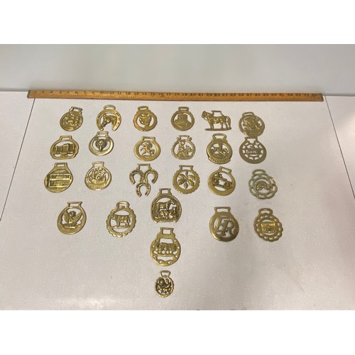 49 - Collection of 25 brass horse brasses.