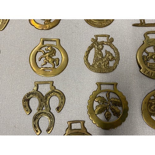 49 - Collection of 25 brass horse brasses.