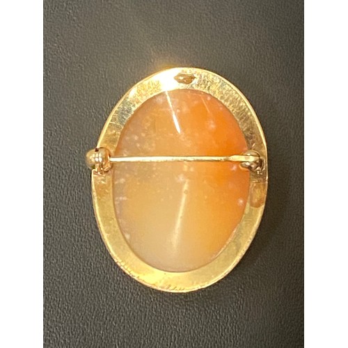 146 - Unmarked 9ct gold cameo brooch.