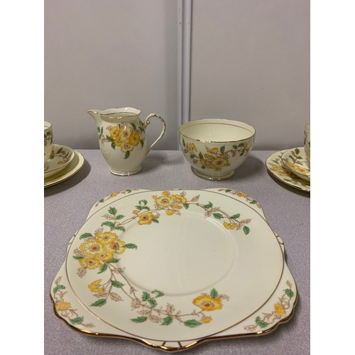 301 - 21 piece Royal Grafton 'Alendale' tea set.