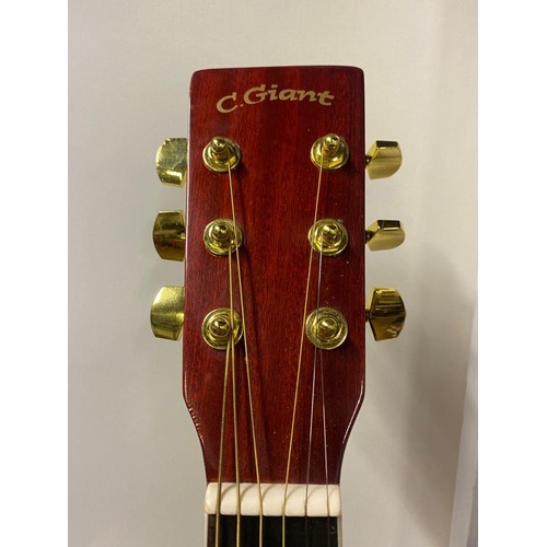 144 - C. Giant acoustic guitar.