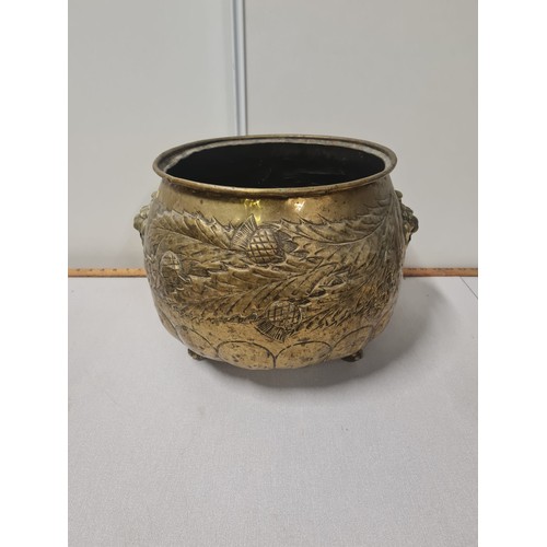 54 - Early 20th century brass planter/pot decorated with thistles and 2 lions.
29cm h