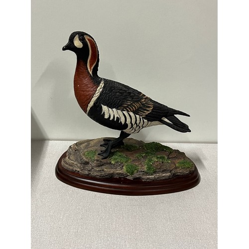 19 - Boxed Border Fine Arts Red Breasted Goose with certificate of Authenticity - No.183 of 500.
30cm x 3... 