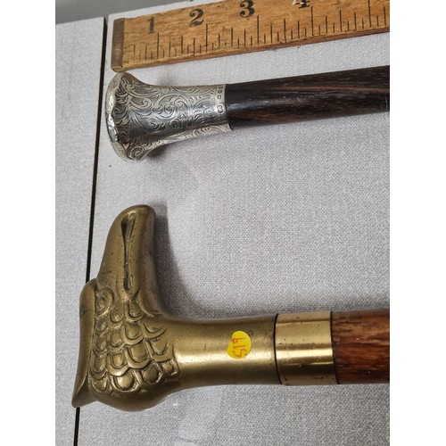 207 - Hallmarked silver topped walking cane along with brass topped bird head walking stick.