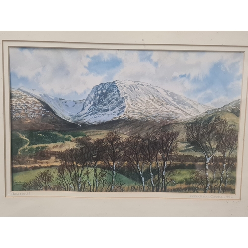 461 - 3 framed watercolours & 1 framed graphite sketch. All signed 2 by S.Nimmo.