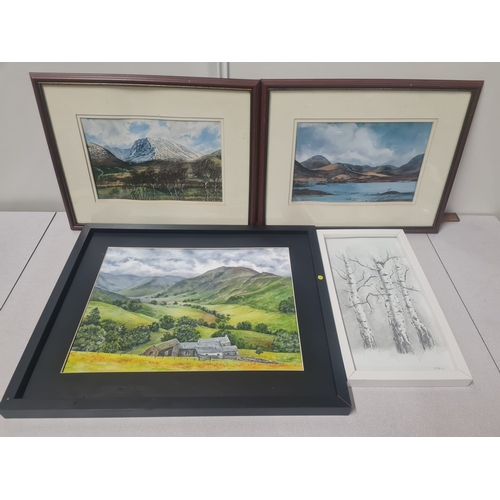 461 - 3 framed watercolours & 1 framed graphite sketch. All signed 2 by S.Nimmo.