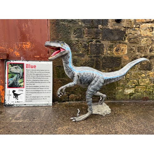 61 - Velociraptor model made from poly-resin and fibreglass is approx. 5ft tall and about 9ft long. The d... 