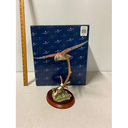 44 - Boxed Border fine art Birds By Russell Willis- Flying Kestrel.
31cm h