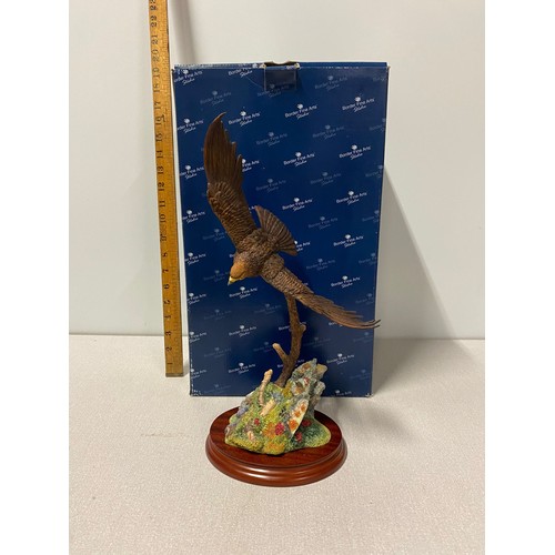 45 - Boxed Border fine art Birds By Russell Willis - Flying Eagle
39cm h