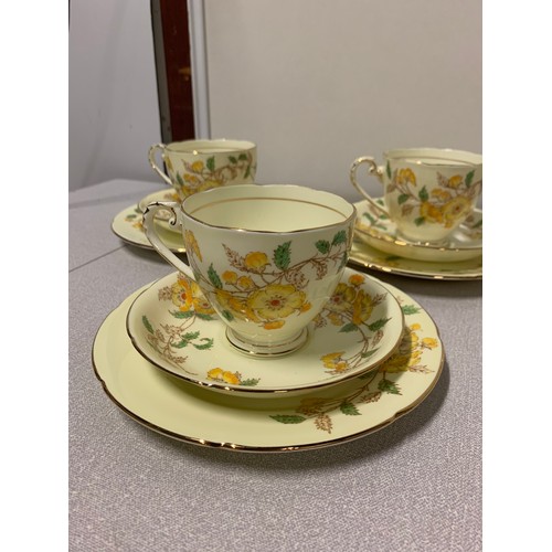 301 - 21 piece Royal Grafton 'Alendale' tea set.