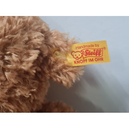 14 - 2 x  Steiff teddy bears with tags.