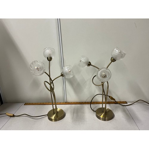 386 - Pair of brass and glass tulip table lamps by pagazzi.