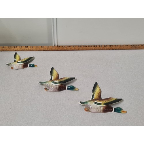 48 - Set of 3 flying duck wall plaques.
largest 18cm x 16cm