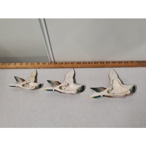 48 - Set of 3 flying duck wall plaques.
largest 18cm x 16cm