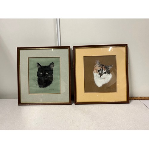 113 - 2 framed Cat drawings signed M. Ruddick. 31cm x 33cm