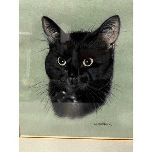 113 - 2 framed Cat drawings signed M. Ruddick. 31cm x 33cm