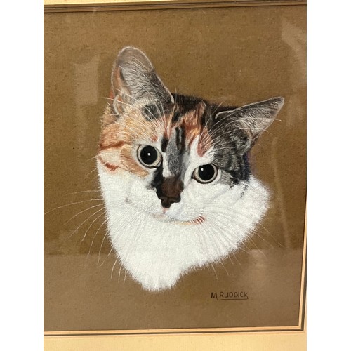 113 - 2 framed Cat drawings signed M. Ruddick. 31cm x 33cm