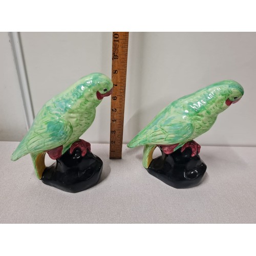 55 - Pair of vintage glazed Westminster budgerigar ornaments.
22cm h