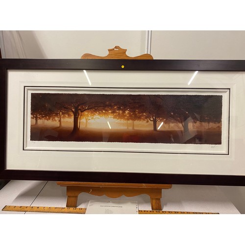 129 - Large signed limited edition print - Natures Canopy by John Waterhouse. Framed and mounted. Comes wi... 