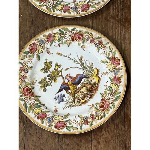 359 - 12 x decorative plates depicting tropical birds.