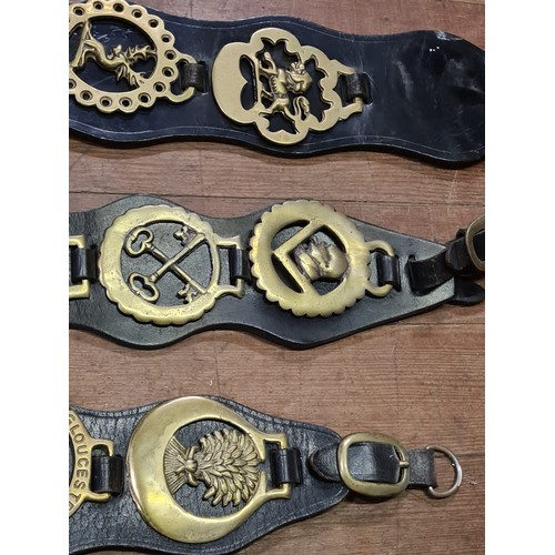 19 - Large collection of horse brasses on leather straps - brasses to include Winston Churchill and thist... 