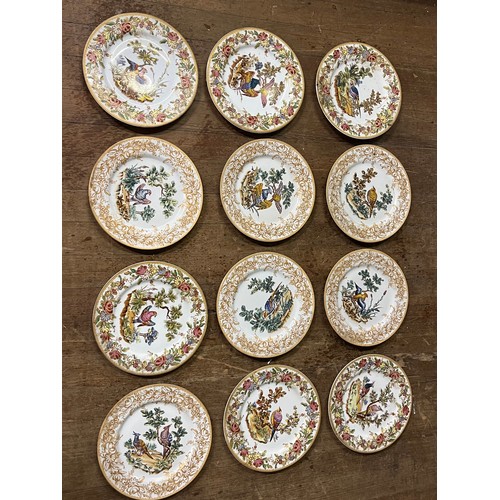 359 - 12 x decorative plates depicting tropical birds.