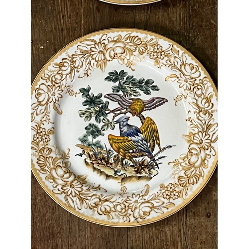 359 - 12 x decorative plates depicting tropical birds.