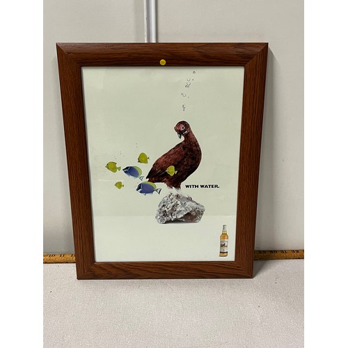 303 - Framed famous grouse advertising picture.
50cm x 37cm