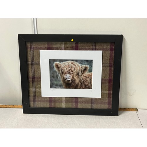 329 - Framed highland cow picture 'rude cow' in tartan material.