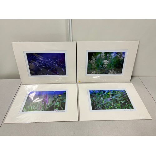 476 - 4  mounted pictures depicting flowers 'light of Louise'