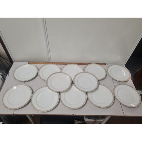 130 - 12 Ginori Italian Assyrian dinner plates.