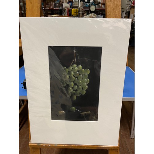 325A - Original signed mounted painting 'Grape' by Jim Taylor
36cm x 48cm