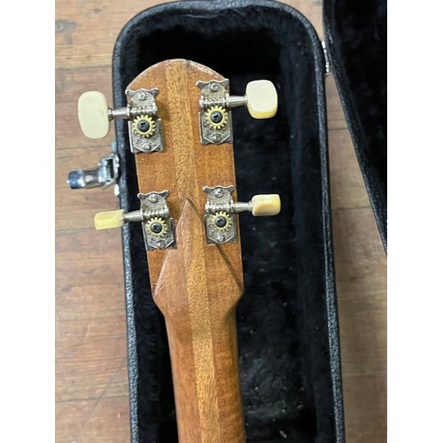 241 - Decorative Banjo with hard case.