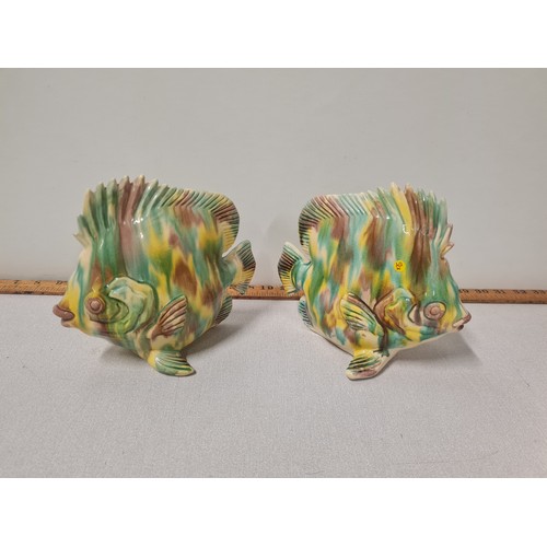 193 - a pair of majolica angel fish stamped, launching glenamond 22 February 1966 nagasaki
20cm x 18cm