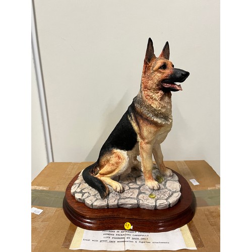 11 - large border fine arts german shepard (boxed)