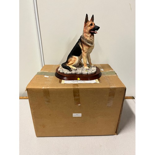 11 - large border fine arts german shepard (boxed)