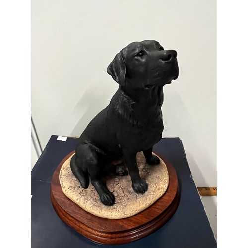 12 - large border fine arts labrador by magaret turner (boxed)