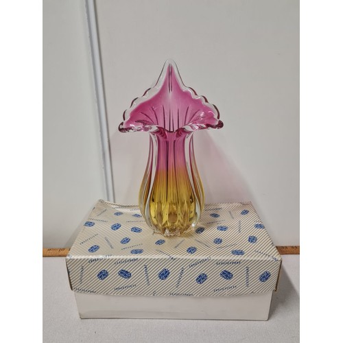 207 - Vintage bohemian Czech glass vase with Jack the pulpit top in original box.