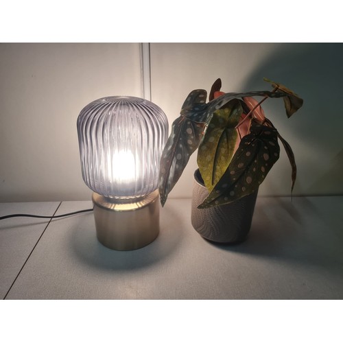 342 - Ikea Solklint table lamp & artificial begonia plant.