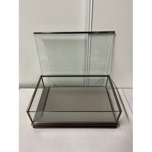 65 - glass display case
52cm x 32cm x 17cm