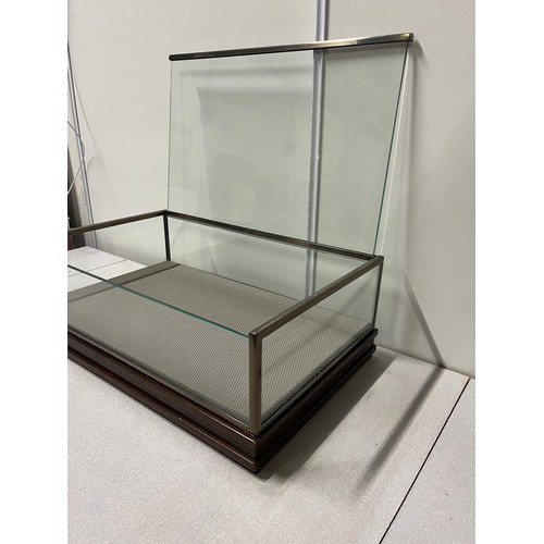 65 - glass display case
52cm x 32cm x 17cm