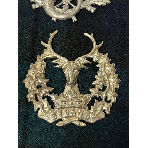 291 - collection of military badges in presentation box