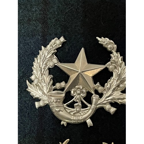 291 - collection of military badges in presentation box