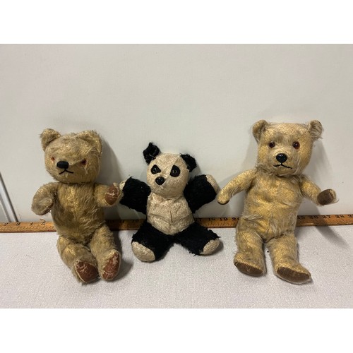 244 - 3 x Antique bears to include Chiltern Panda, Chad Valley growler needs attention & 1 other with grow... 