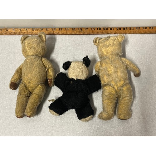 244 - 3 x Antique bears to include Chiltern Panda, Chad Valley growler needs attention & 1 other with grow... 