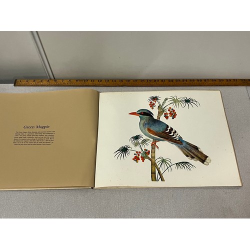 145 - book of chinese bird paintings