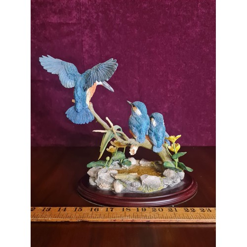 165 - Country Artists 'Kingfisher Scene' CA06097 with original box
24cm h x 24cm w